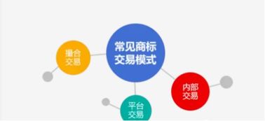 探索知識產權證券化，建設交易中心 推動知識產權服務高質量發展